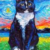 Starry Night Tuxedo Cat paint by numbers