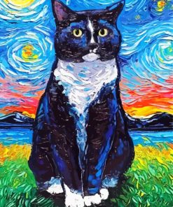 Starry Night Tuxedo Cat paint by numbers