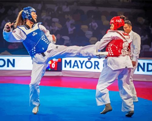 Taekwondo Girls paint by numbers