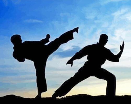 Taekwondo Sport paint by numbers