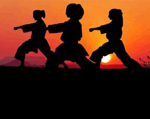 Taekwondo Silhouette paint by numbers