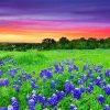 Texas Hill Country Sunset Landscape paint by numbers
