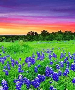 Texas Hill Country Sunset Landscape paint by numbers