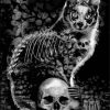 The Skull Cat paint by numbers