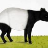 The Tapir Animal In Jungle paint by numbers