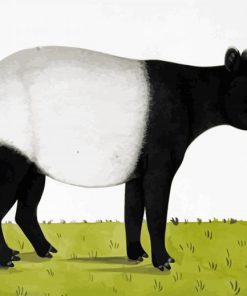 The Tapir Animal In Jungle paint by numbers