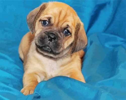 The Puggle Puppy Dog paint by numbers