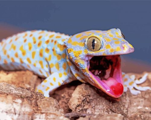 Tokay Gecko paint by numbers