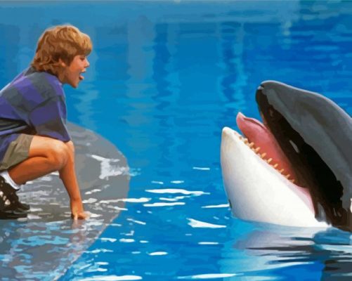 Willy the orca and the little boy paint by numbers