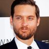 actor tobey maguire paint by numbers