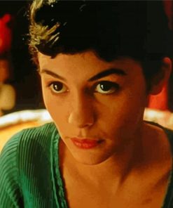 Aesthetic Amelie Movie paint by numbers