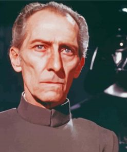 Vintage Peter Cushing paint by number