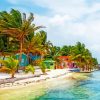 Aesthetic Caye Caulker paint by numbers