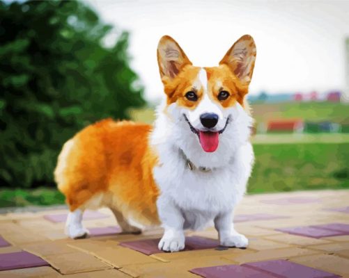 Aesthetic Corgi Pet paint by numbers