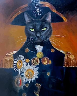 black Lord cat paint by number