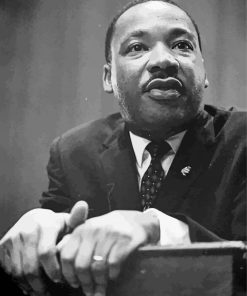 Black And White Luther King paint by numbers
