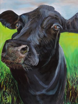 Black Cow Animal paint by numbers