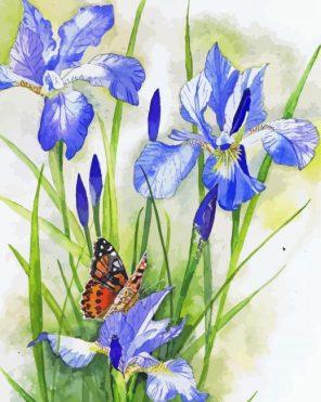 Blue Iris And Butterfly paint by numbers
