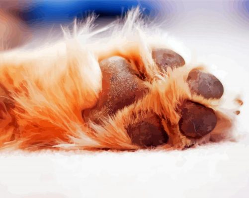 brown Dog paw paint by number