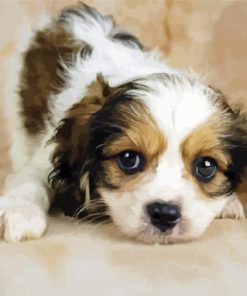 Cavachon Puppy paint by numbers