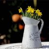 Grey Jug And Wild Daffodils paint by numbers