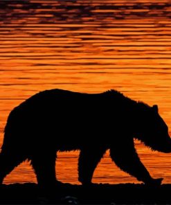 Grizzly Bear Silhouette Sunset paint by numbers