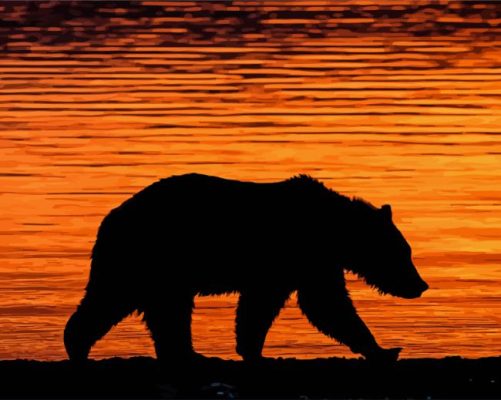 Grizzly Bear Silhouette Sunset 