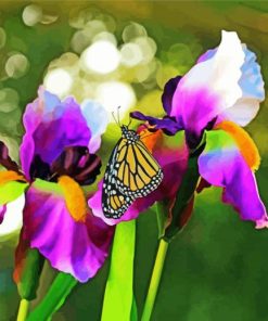 Iris Flowers And Butterfly paint by numbers
