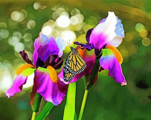 Iris Flowers And Butterfly paint by numbers