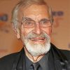 martin landau actor paint by numbers