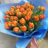 Orange Peonies Tulips Paint by numbers