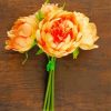 Orange Peony Paint by numbers