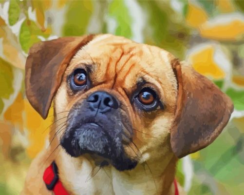 Puggle Dog Face paint by numbers