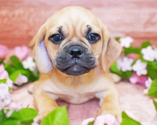 Puggle Puppy Paint by numbers