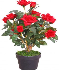 Red Rose Tree Paint by numbers
