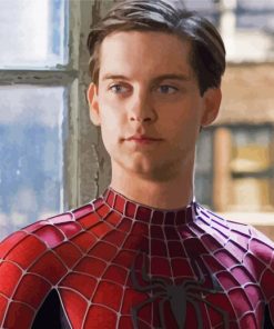 tobey maguire spider man paint by number