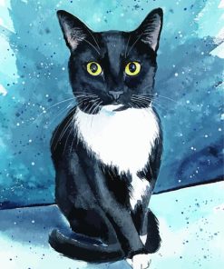 Tuxedo Cat Art Paint by numbers