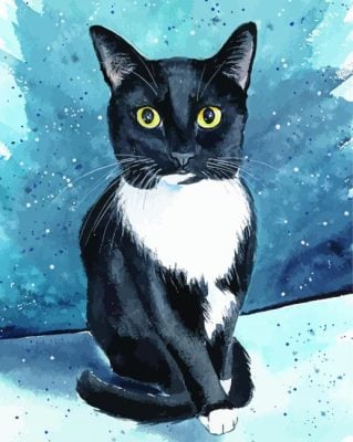 Tuxedo Cat Art Paint by numbers
