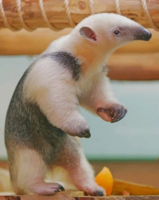 Cute Anteater paint by numbers