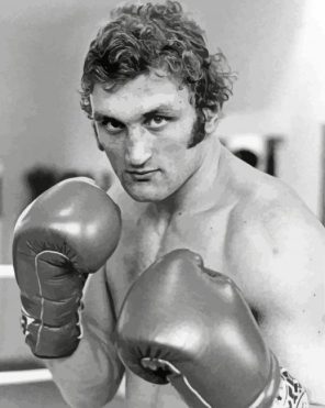 young Joe bugner paint by number