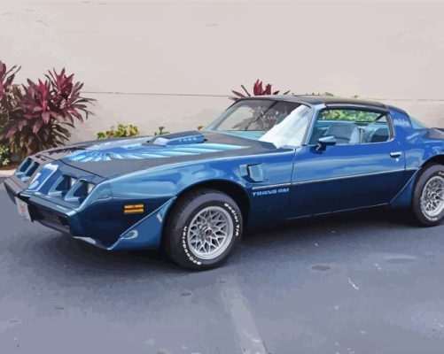 1979 Blue Pontiac Firebird Paint By Numbers - Numeral Paint Kit