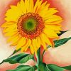 A Sunflower From Maggie Georgio O Keefe paint by numbers
