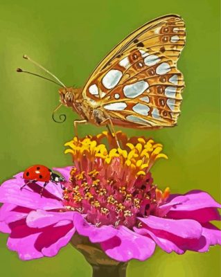 Butterfly And Ladybug On A Flower paint by numbers 