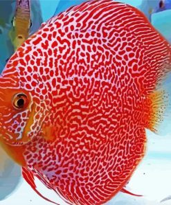 Discus fish paint by number