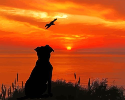 Dog Silhouette In Sunset Paint by numbers
