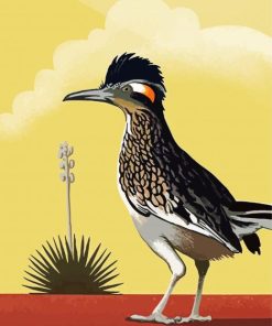 Illustration Roadrunner Bird paint by numbers