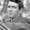 James Stewart actor paint by numbers