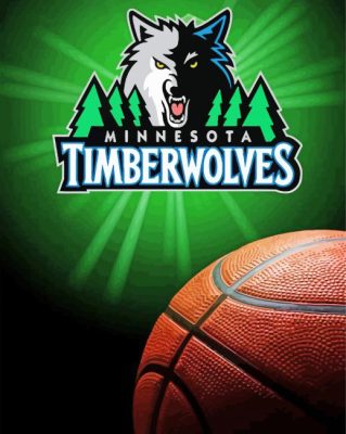 Minnesota Timberwolves Basketball Club paint by numbers