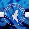 Minnesota Timberwolves Logo paint by numbers