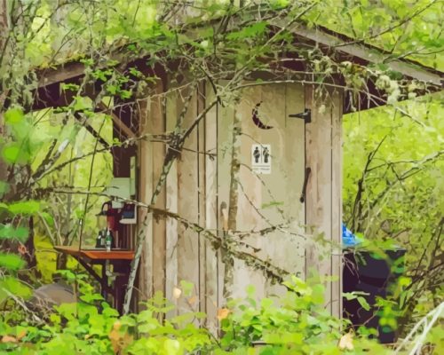 Outhouse In Forest paint by numbers